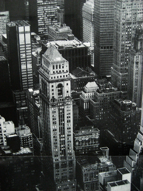 nycrop2